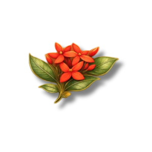 Live Ancestral Consultation — 30 Minutes (€50)